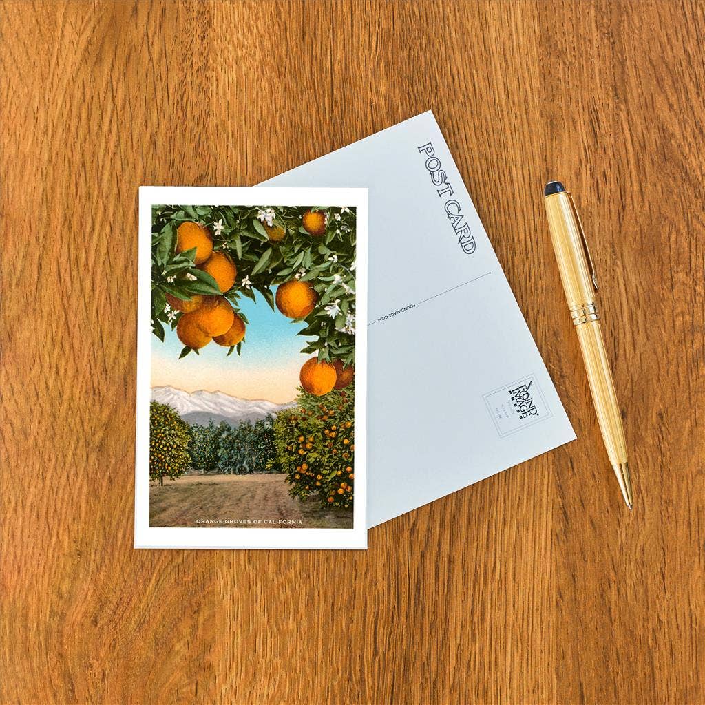 Postcard CA-315 Orange Grove with Mountains in Background