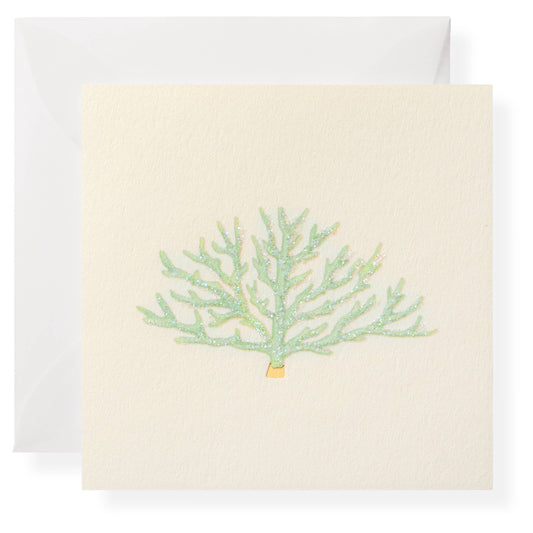 Blue Coral Individual Gift Enclosure