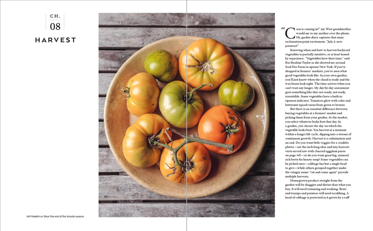 Cook's Garden, The