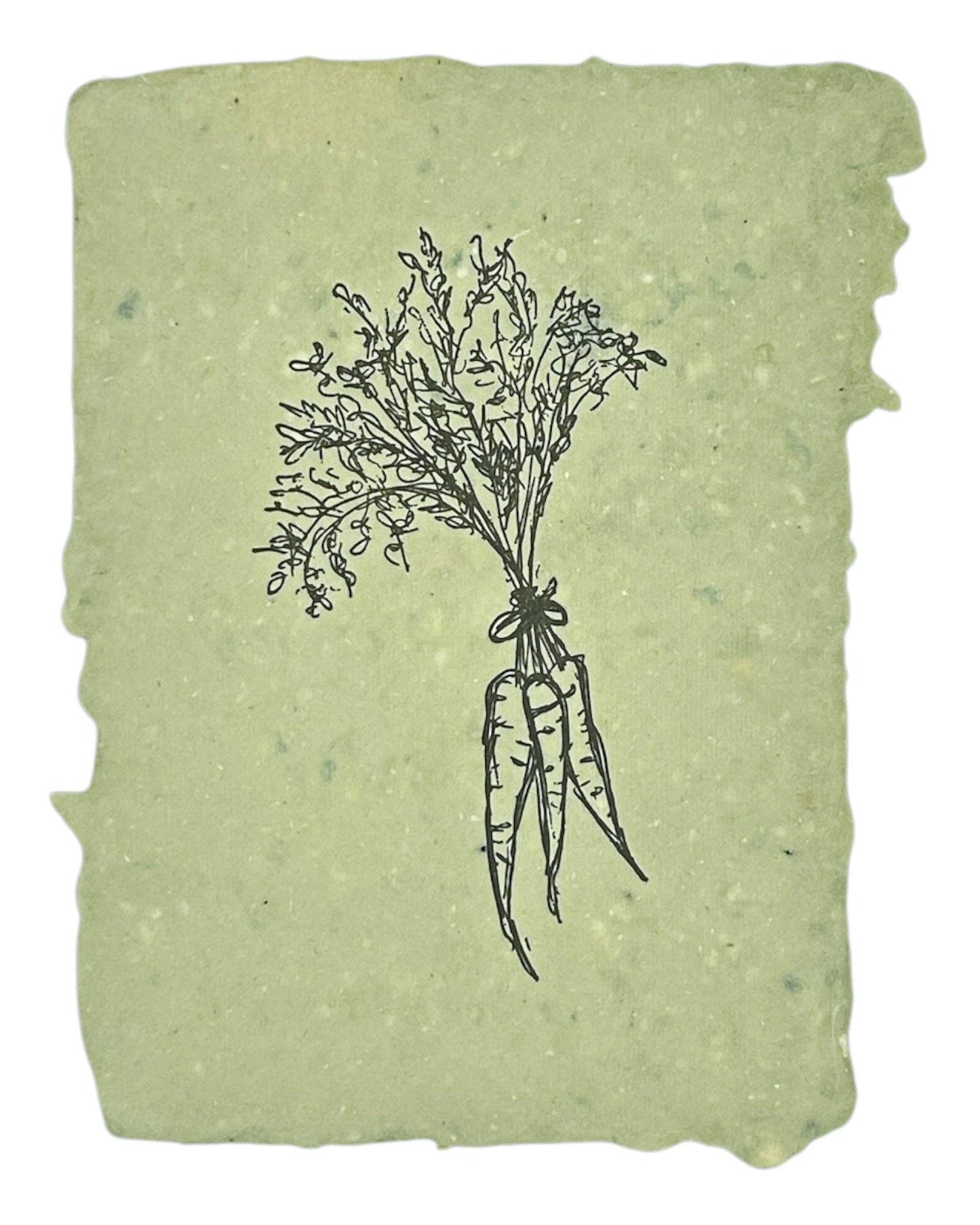 Bunch of carrots art print