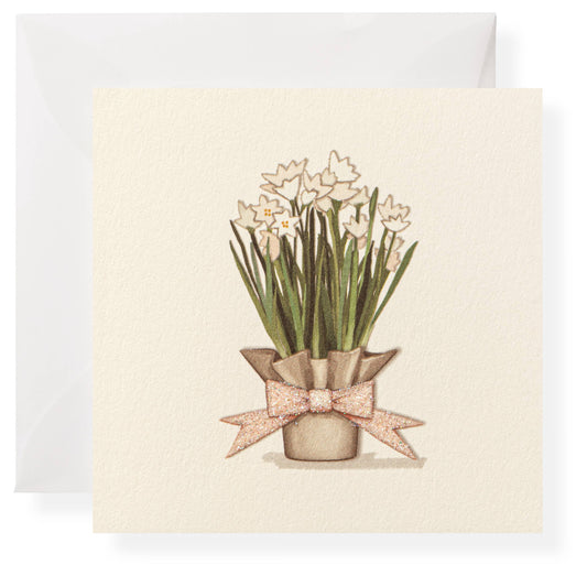 Paperwhites Individual Gift Enclosure