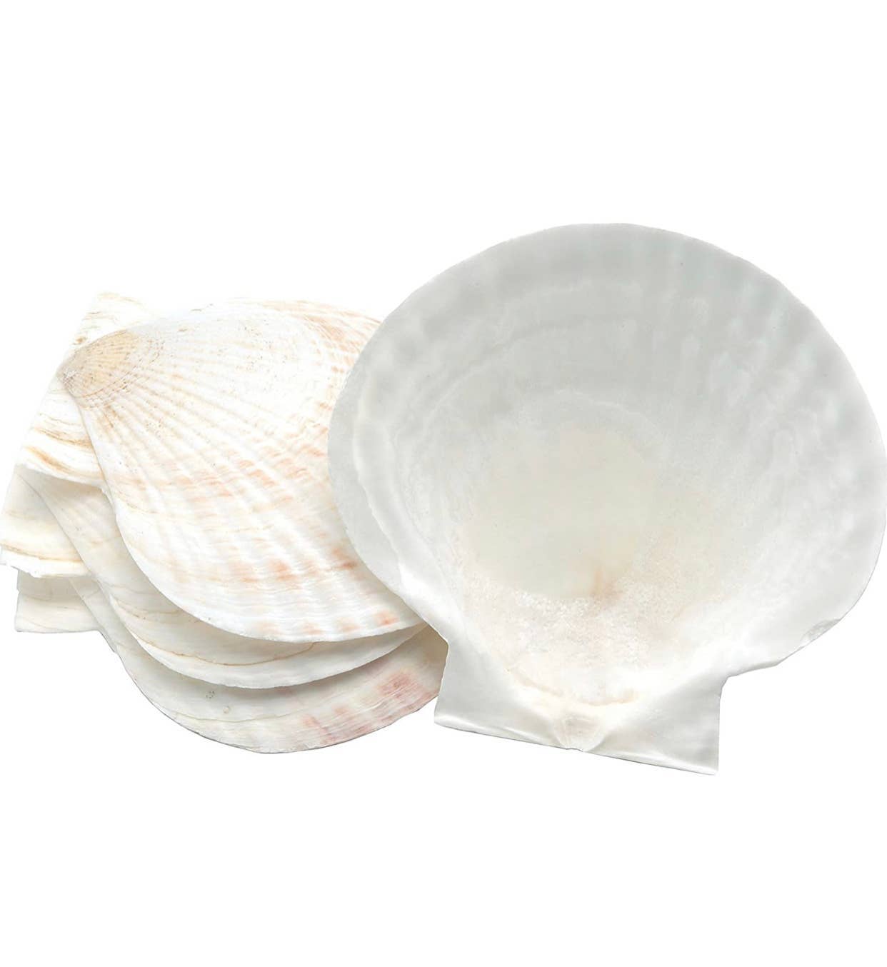 Nantucket Seafood Baking Shells, 4 Pieces, 6.75"x 8.25"