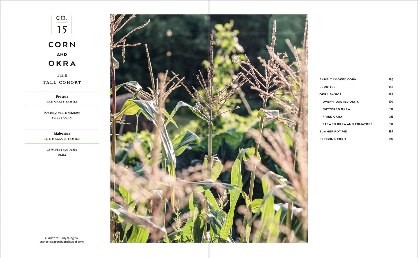 Cook's Garden, The
