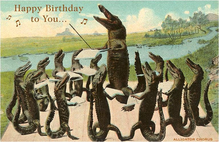 Postcard HB-224 Happy Birthday, Alligator Chorus