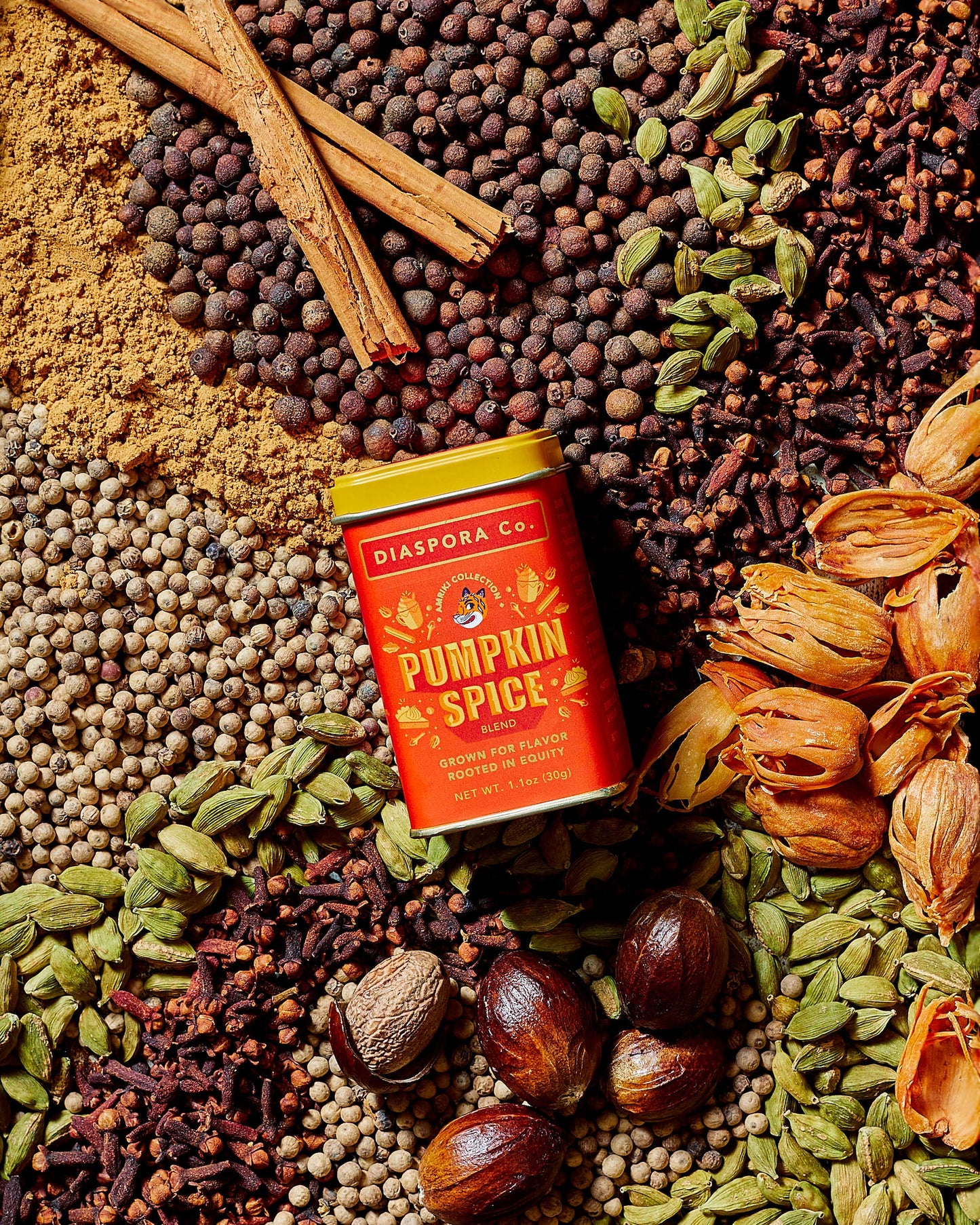 Pumpkin Spice (Spice Blend) - For Lattes & Baking