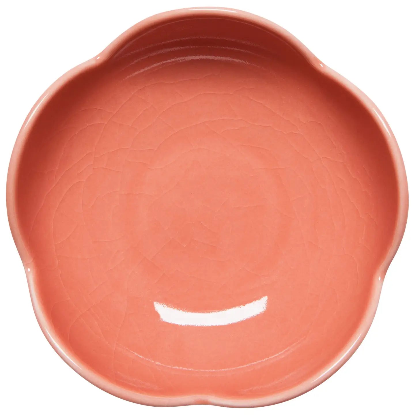 Apertivo Bowls - Variety!